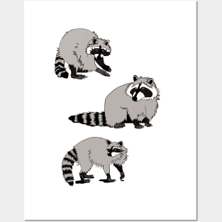 Trash Panda Racoon Posters and Art